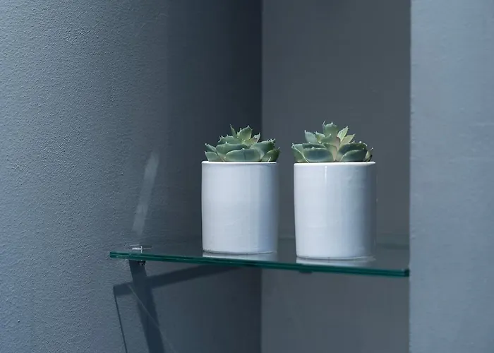 Πανσιόν With Wellness Nextdoor And Kitchen Access 3*