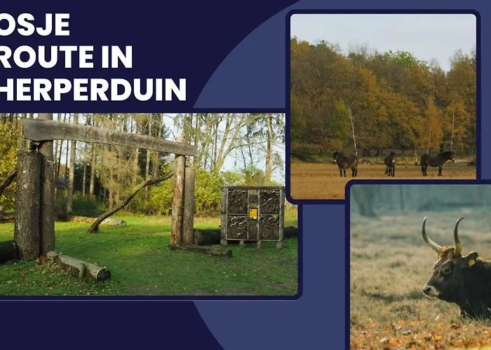 With Wellness Nextdoor And Kitchen Access Πανσιόν 3*